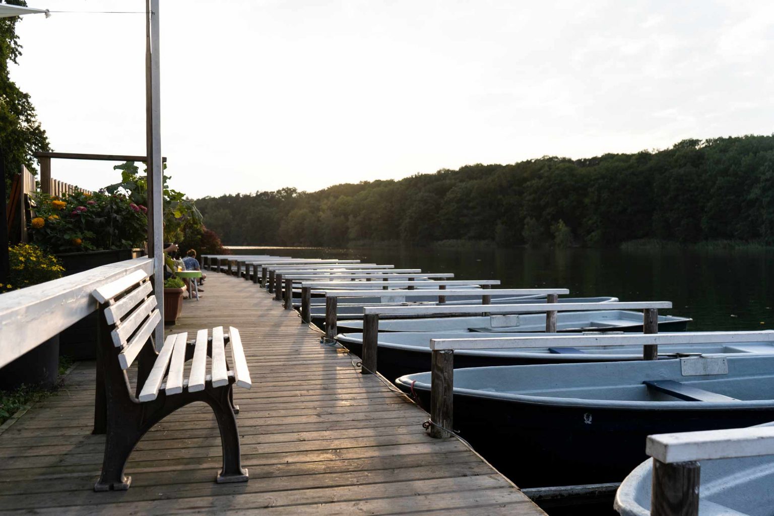 Bootssteg mit Ruderbooten am See für Bootsverleih und entspannte Ausflüge.