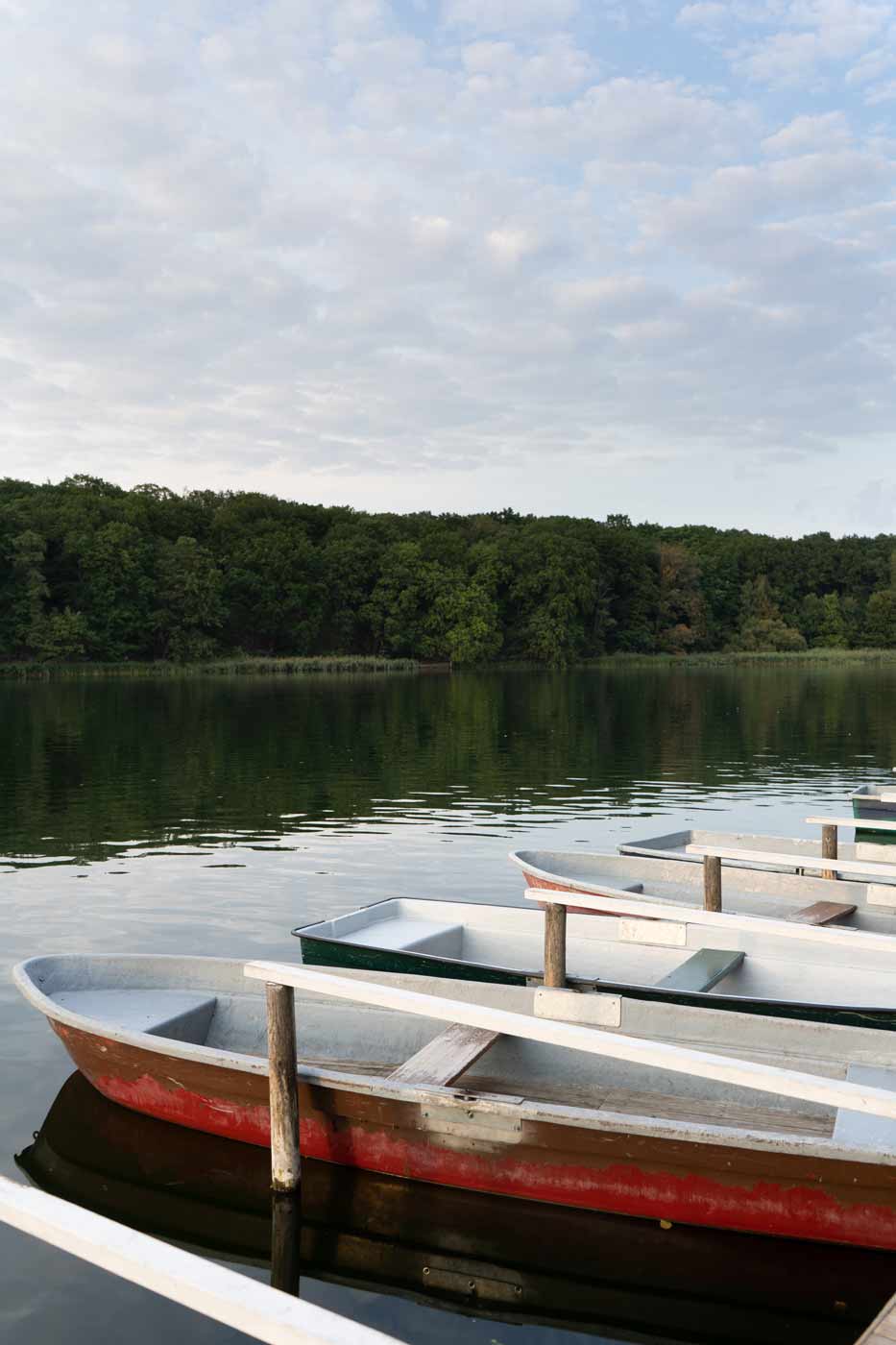Ruderboote am Bootssteg mit Blick auf den See und grüne Waldlandschaft.