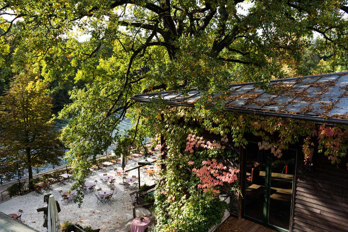 Gemütlicher Biergarten am See mit begrüntem Gebäude und schattigen Sitzplätzen.