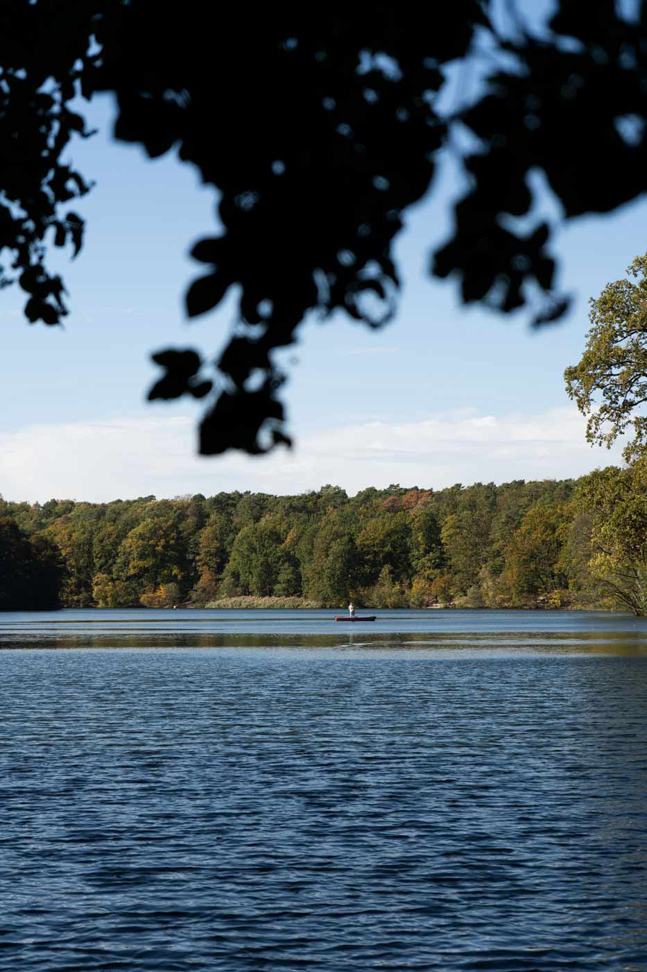 Ruhiger See mit Ruderboot und Waldkulisse für entspannte Ausflüge.