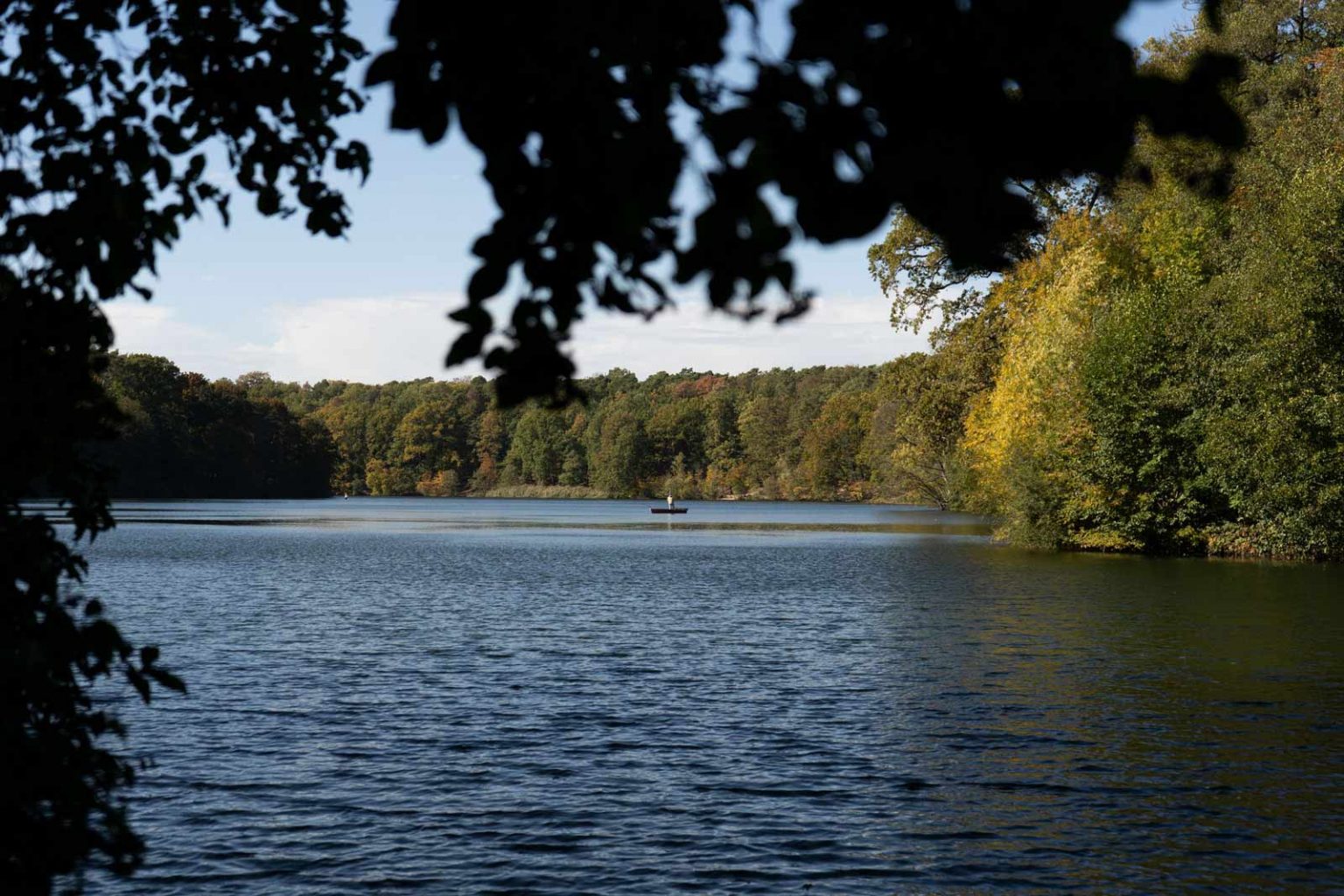 Ruhiger See mit Waldkulisse und Blick vom Ufer beim Bootsverleih.